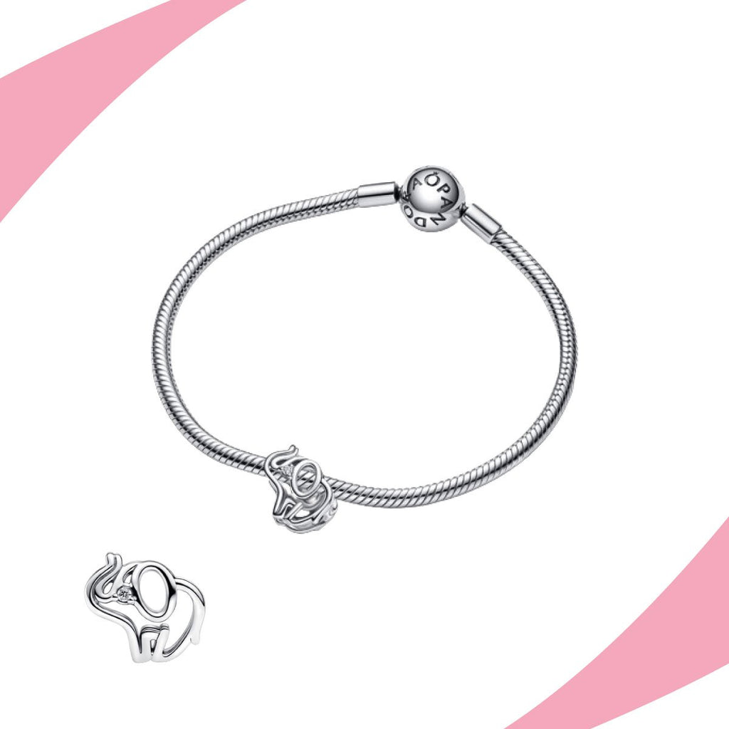 Charm Elefante Silueta