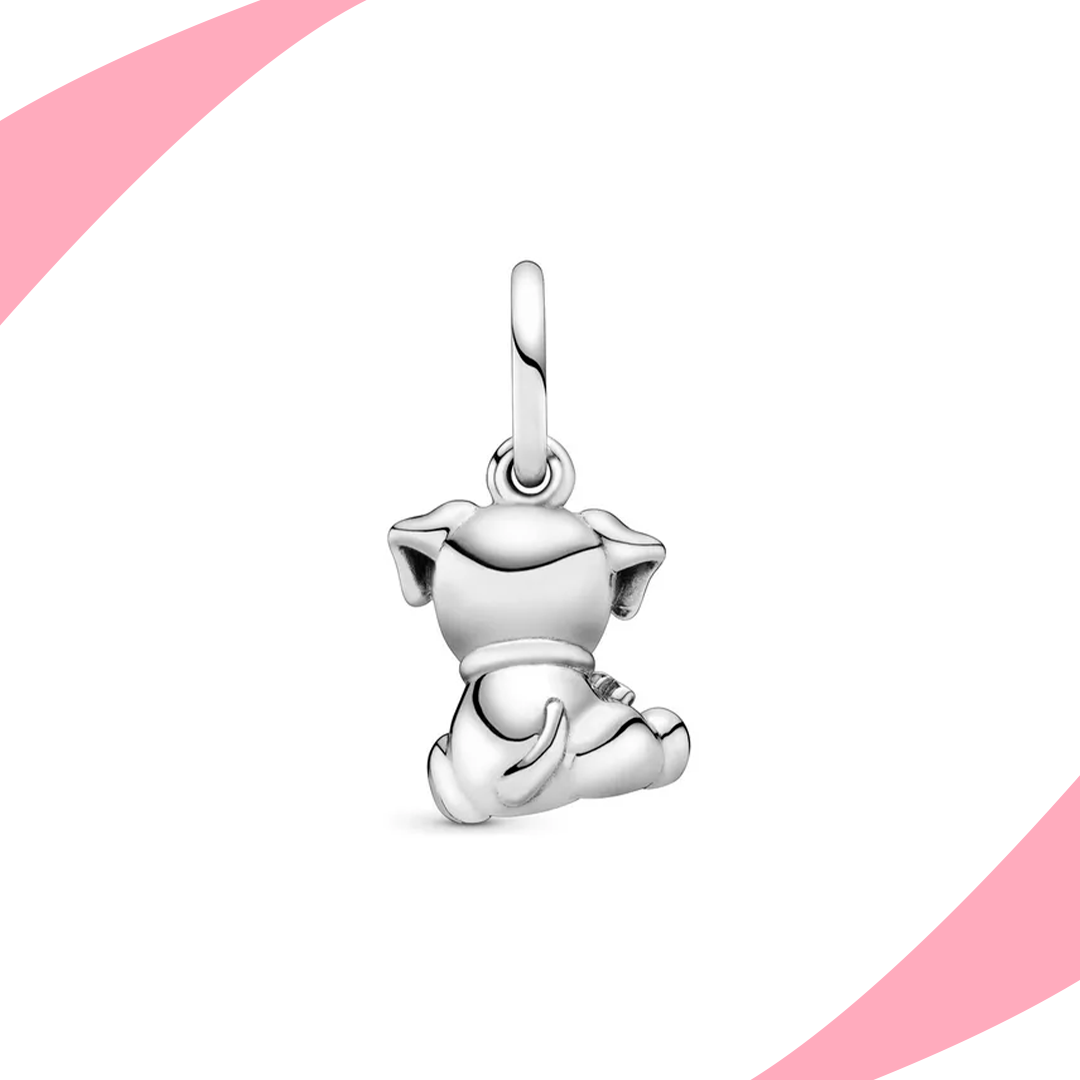 Charm Perrito