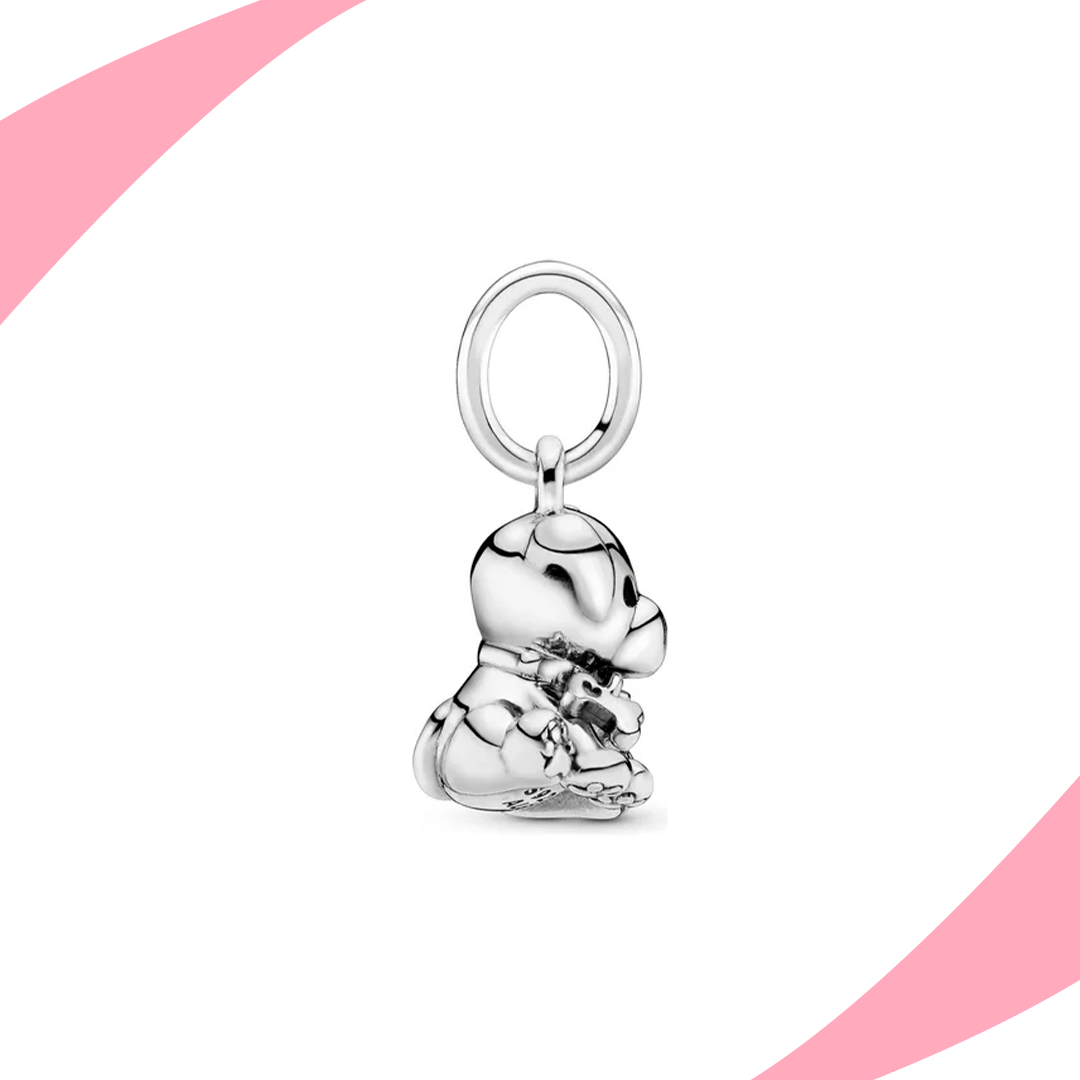 Charm Perrito