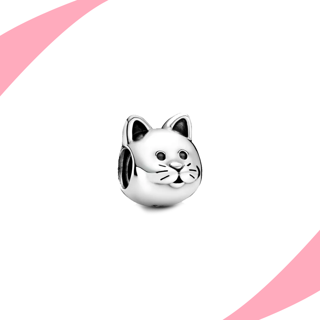 Charm Gato