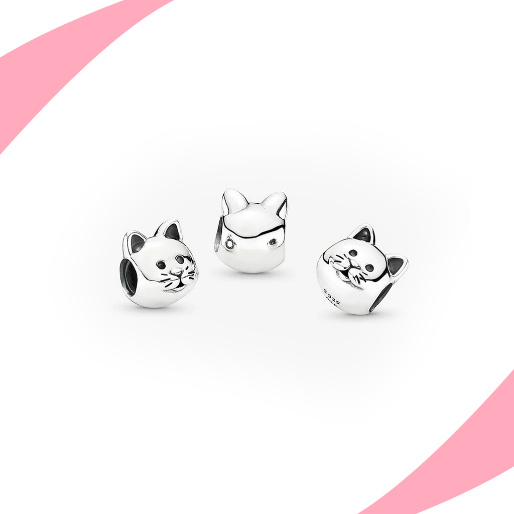 Charm Gato