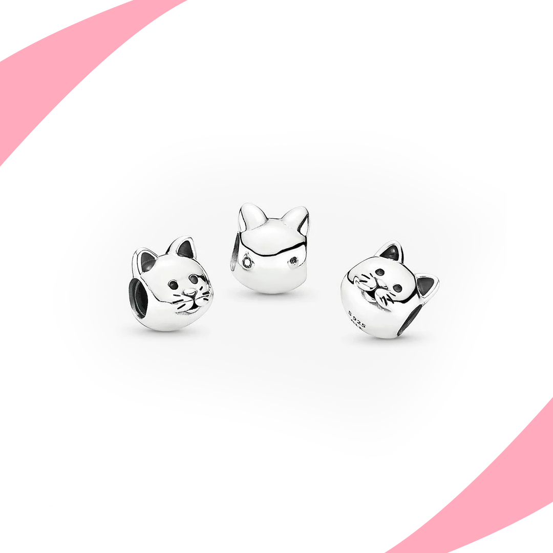 Charm Gato